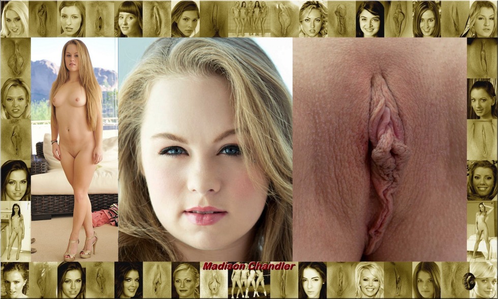 Vagina of Hollywood stars