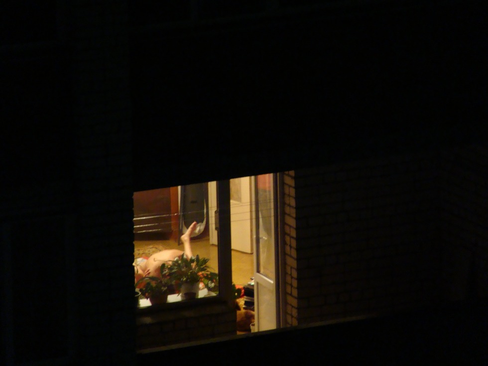 Spied in the windows of houses