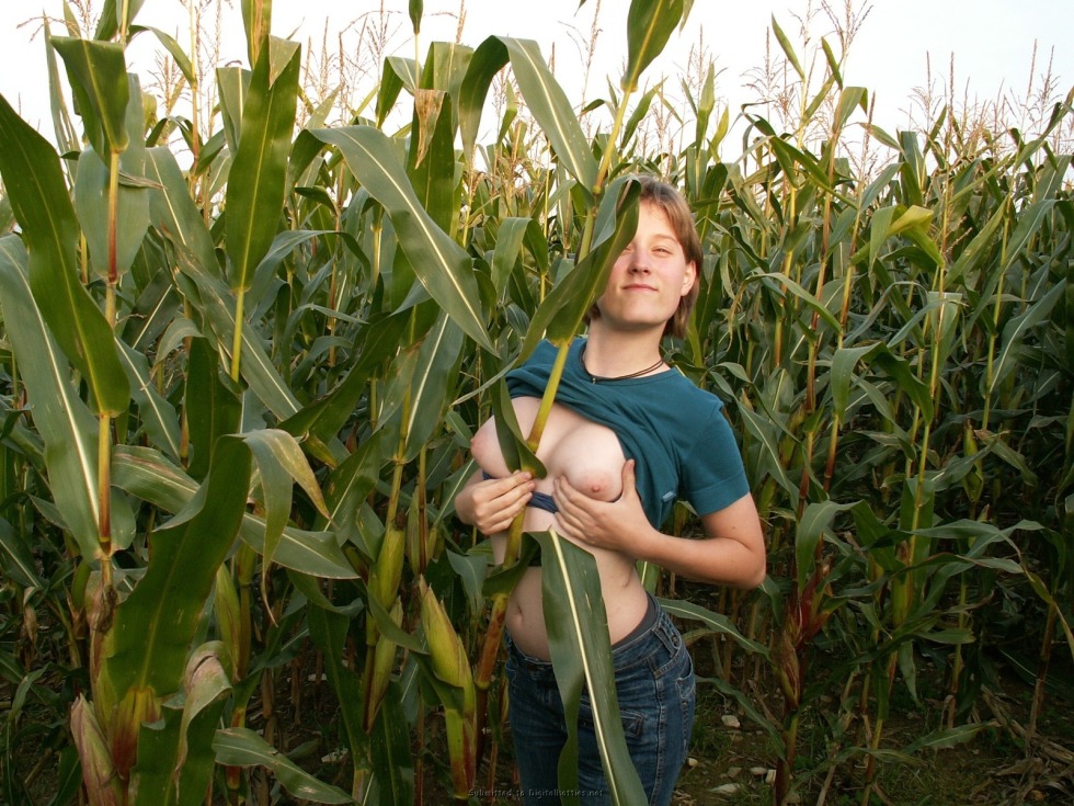 Naked girls in a corn field