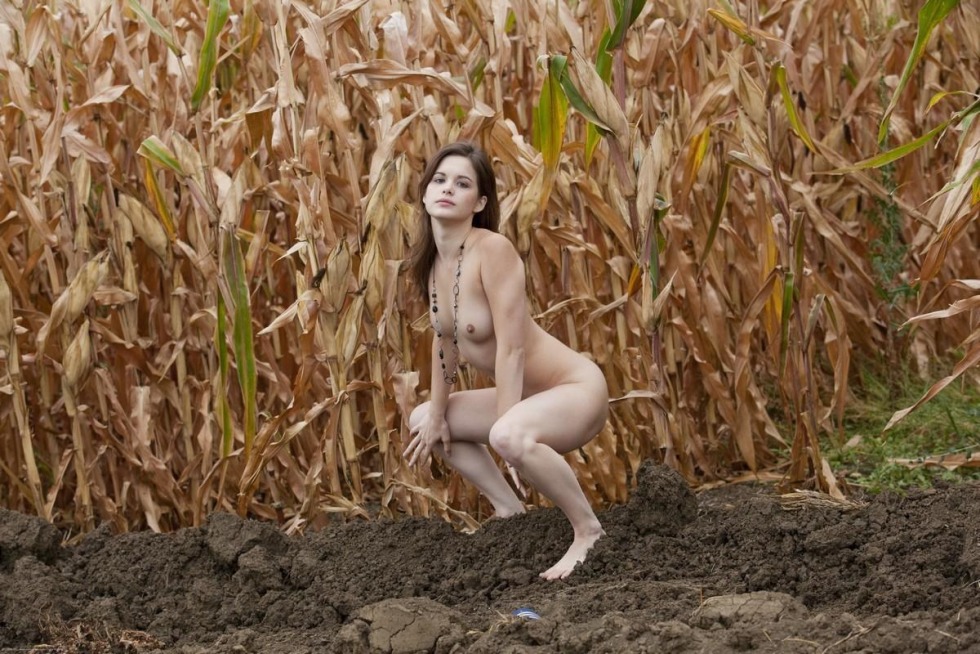 Photo shoot nude in corn