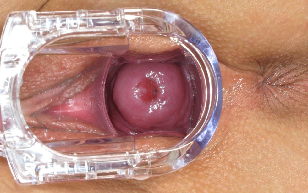 Women's vagina from the inside