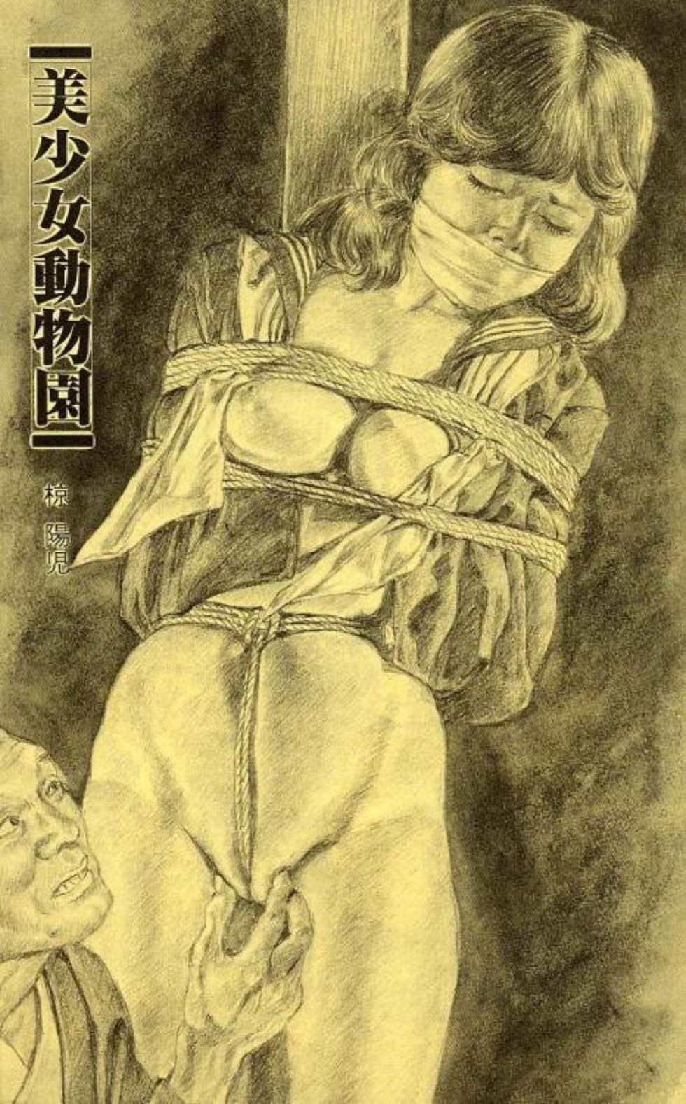 Japanese BDSM illustrations