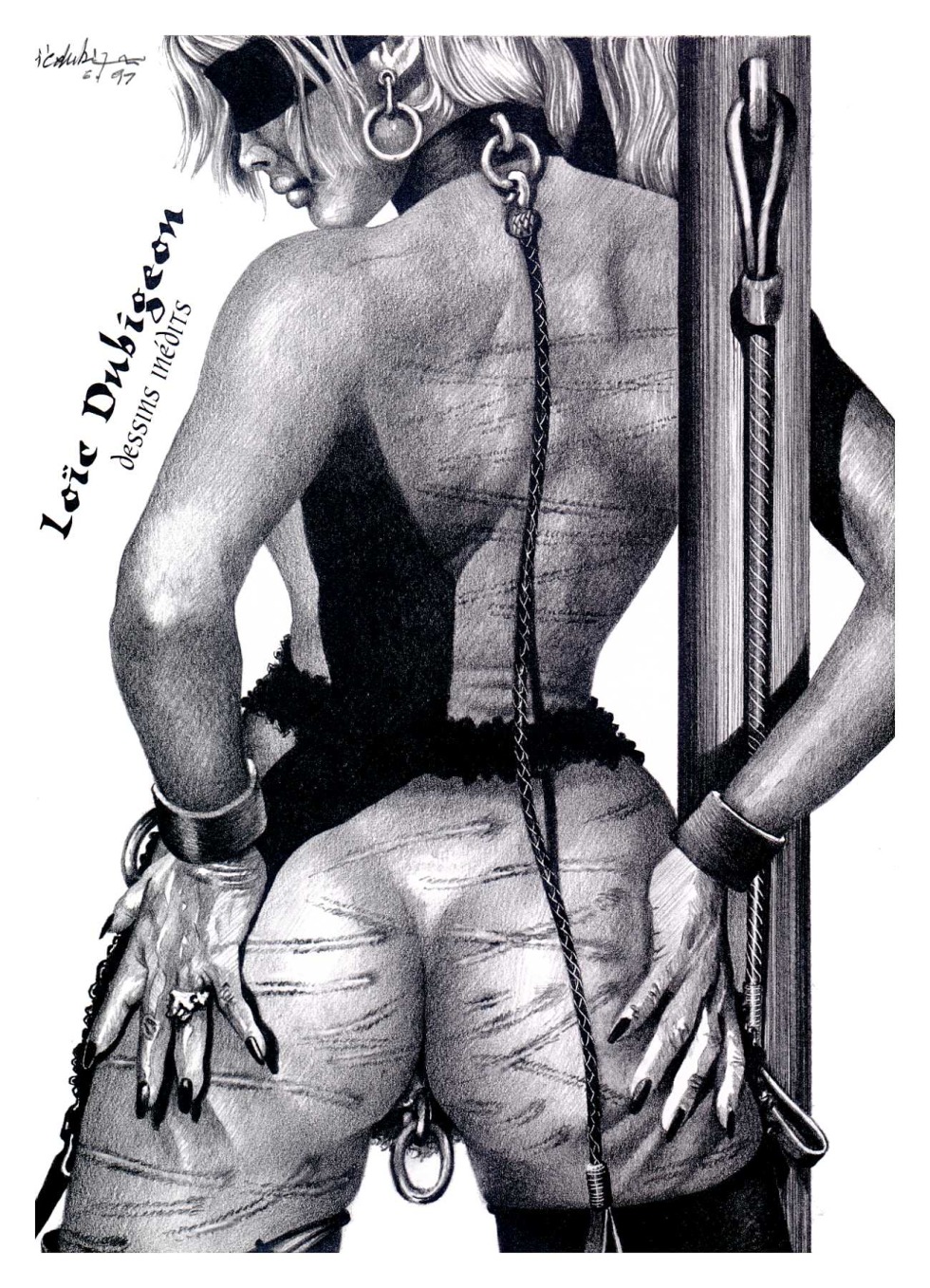 Artist Loic Dubigeon-Illustrations