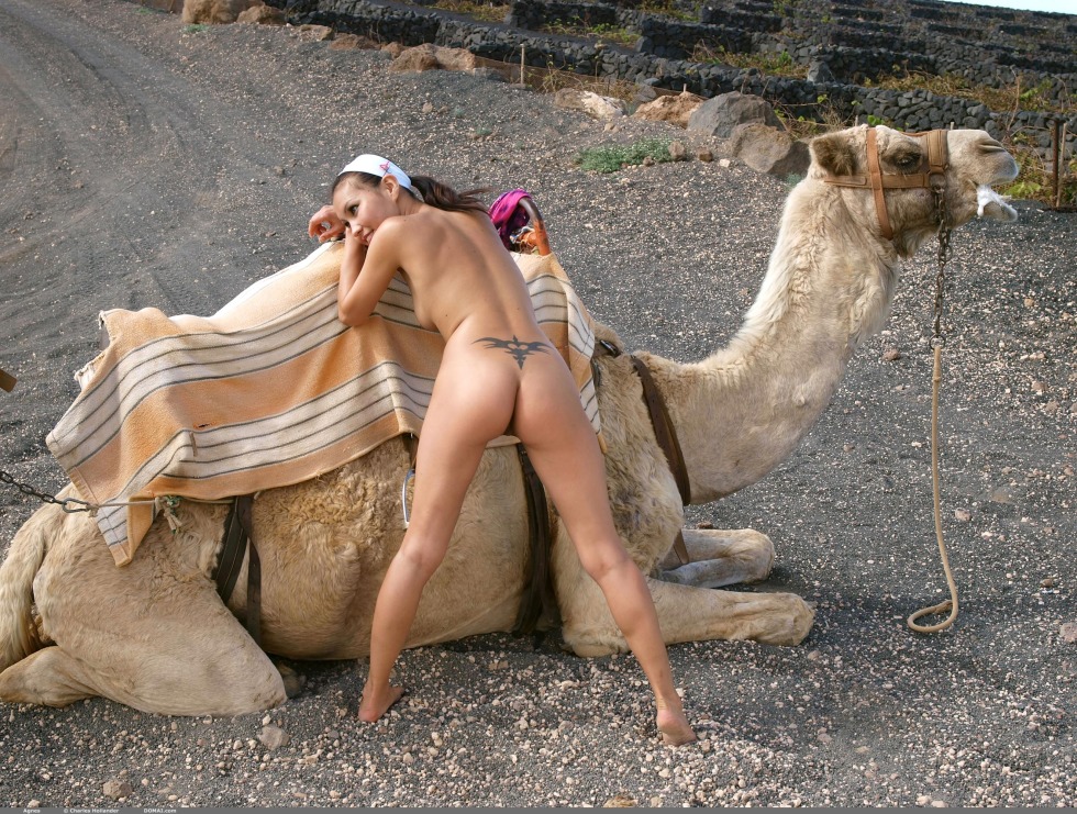 Naked photo shoot with a camel