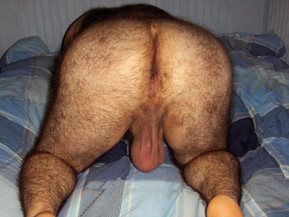 Old hairy asses