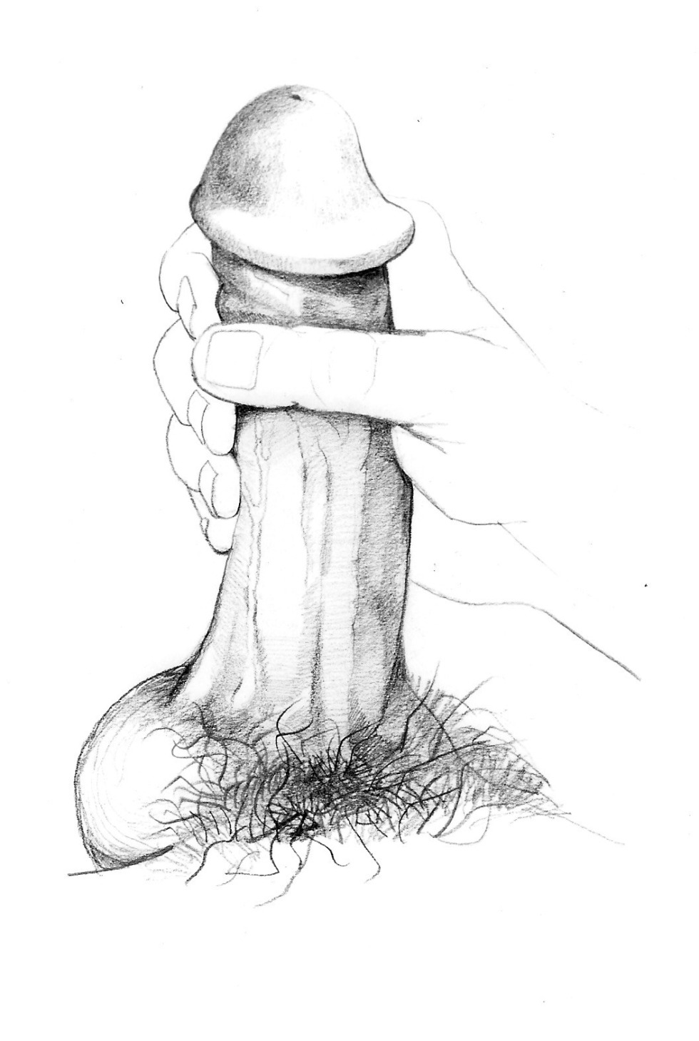 Male penis art
