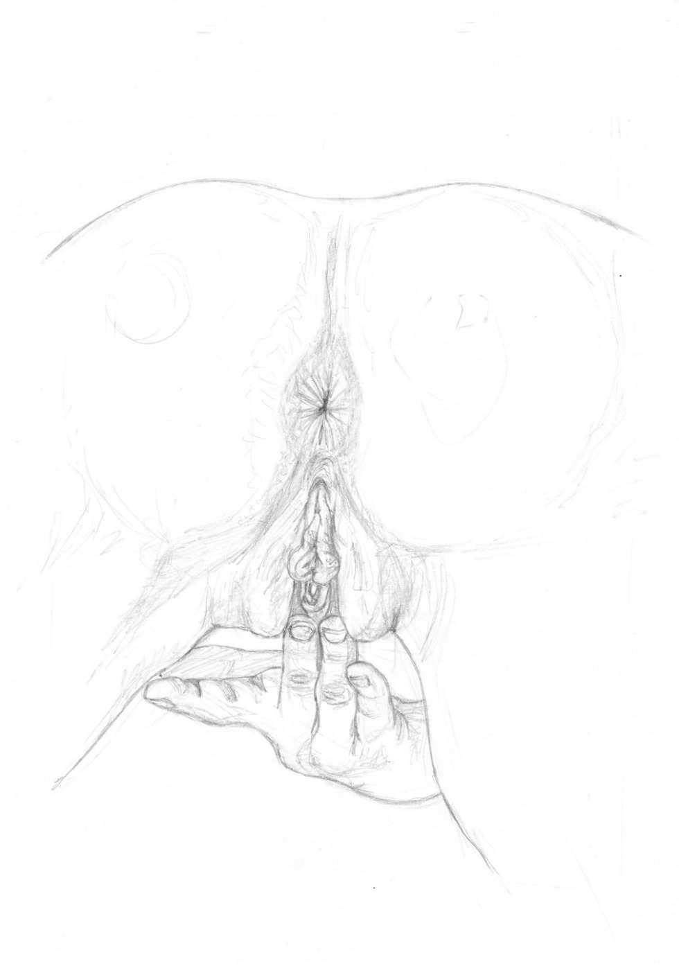 Drawing with a pencil of the crotch