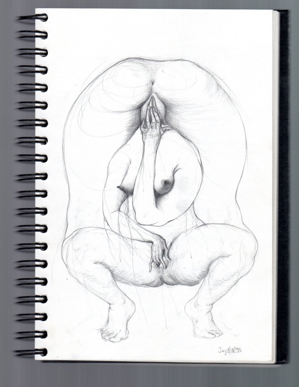 Drawing female genital