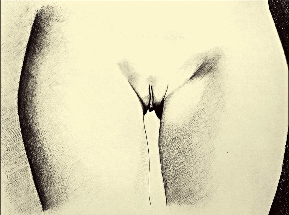 Drawing of a female vagina
