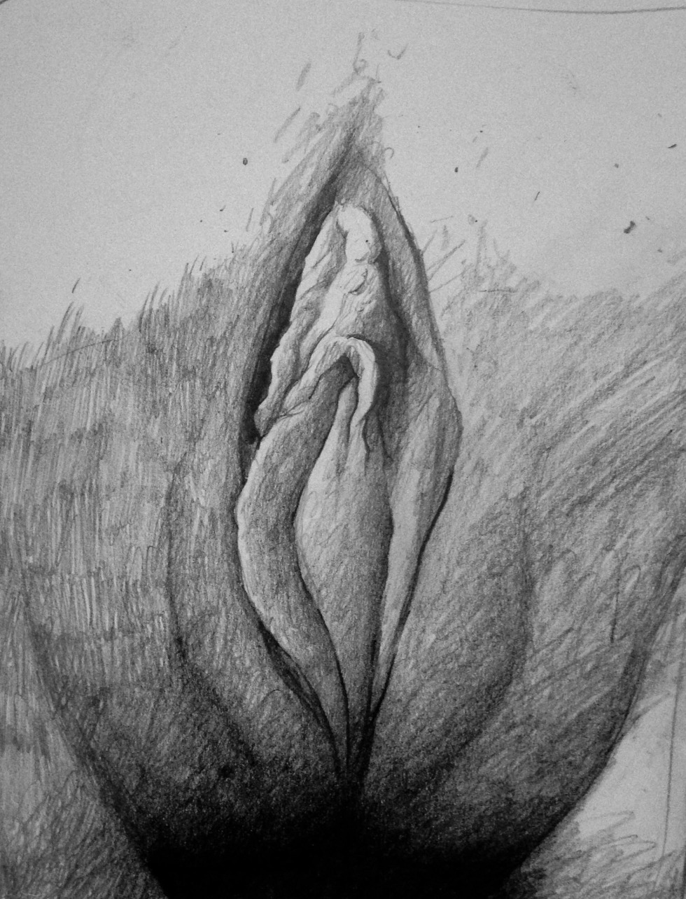 Beautiful drawings of the vagina