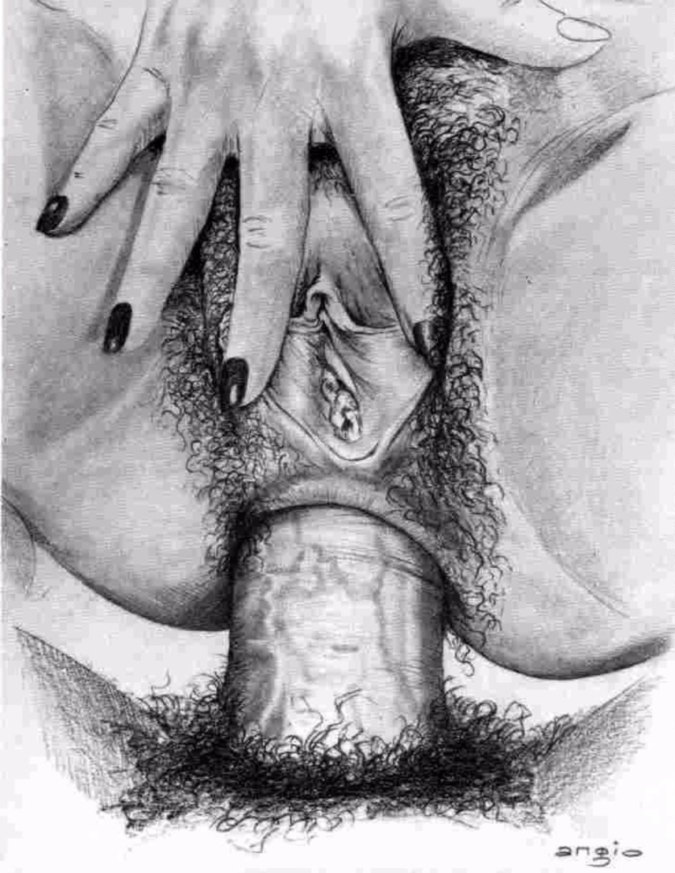 Artistic image of the vagina