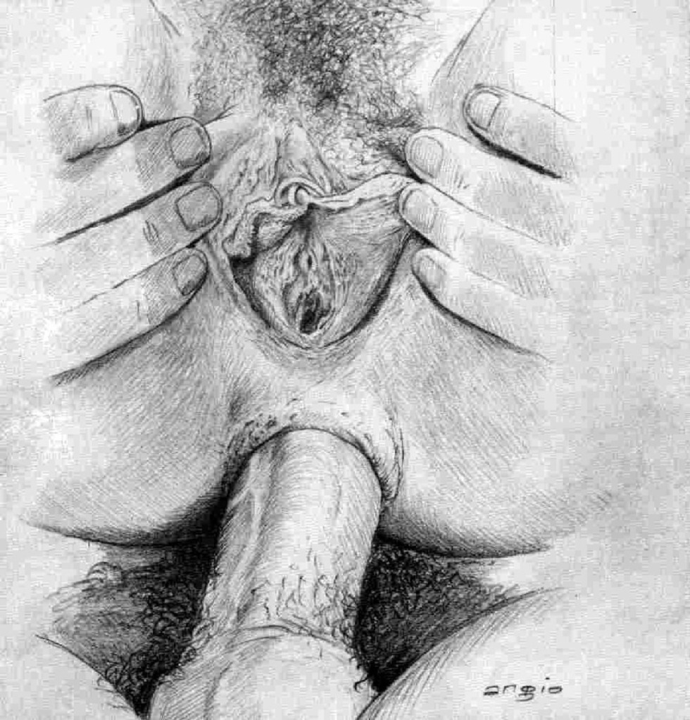Drawing the genitals