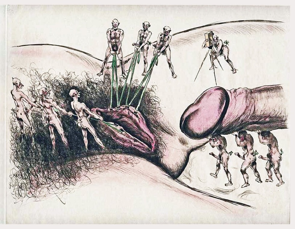 Drawing the genitals