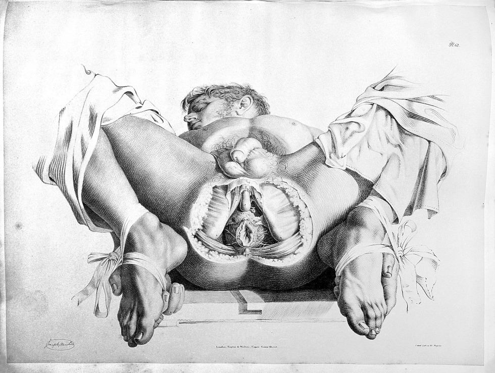 Anal sexual intercourse in the context