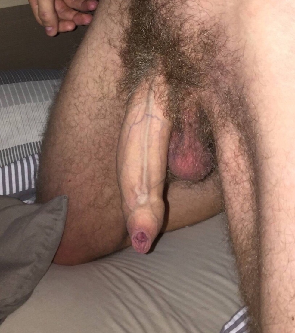The most hairy male dick