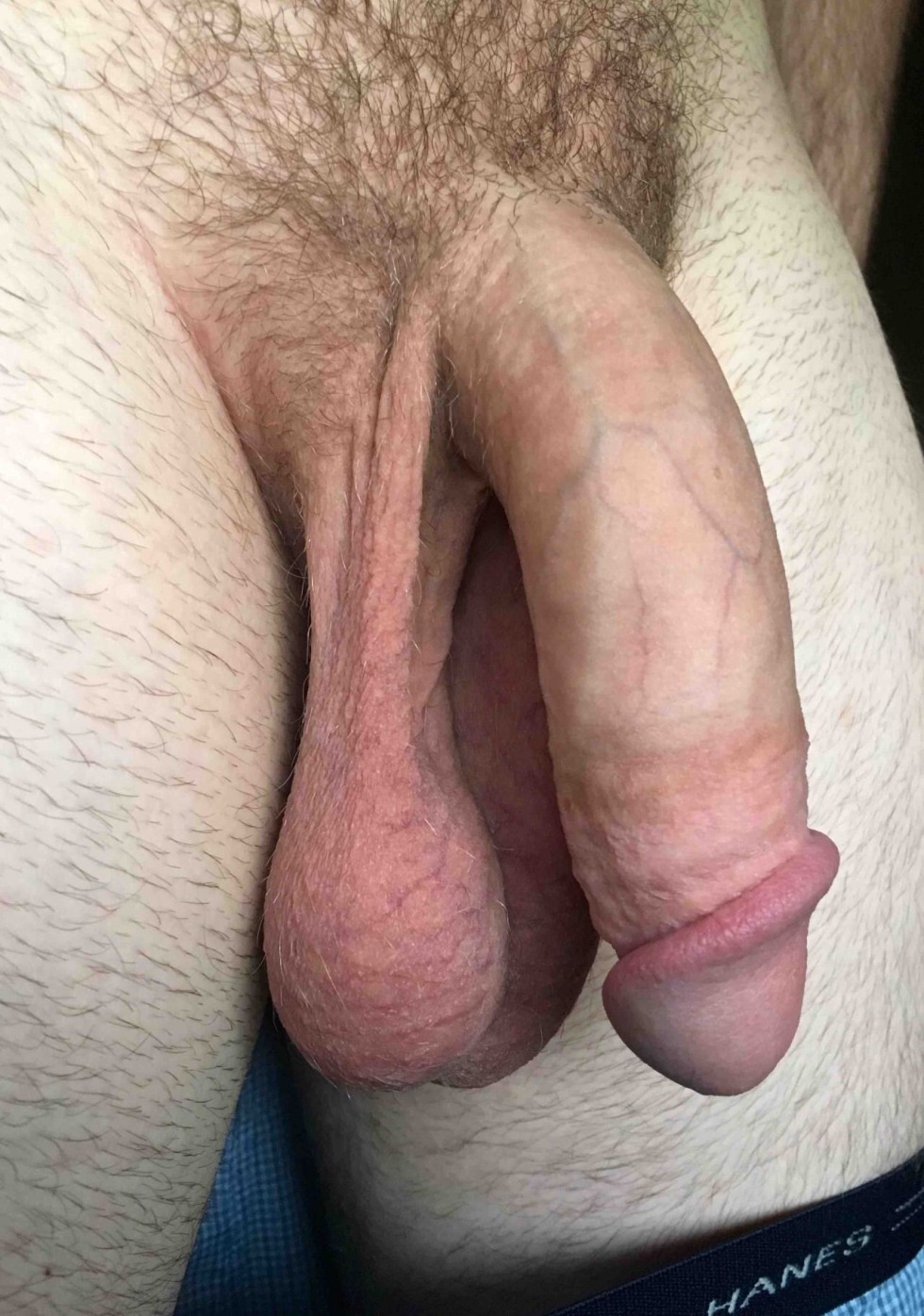 A huge hanging cock