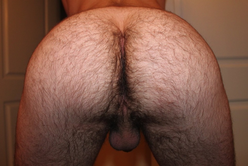 Hairy male ass