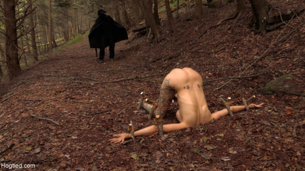 Erotic horrors in the forest