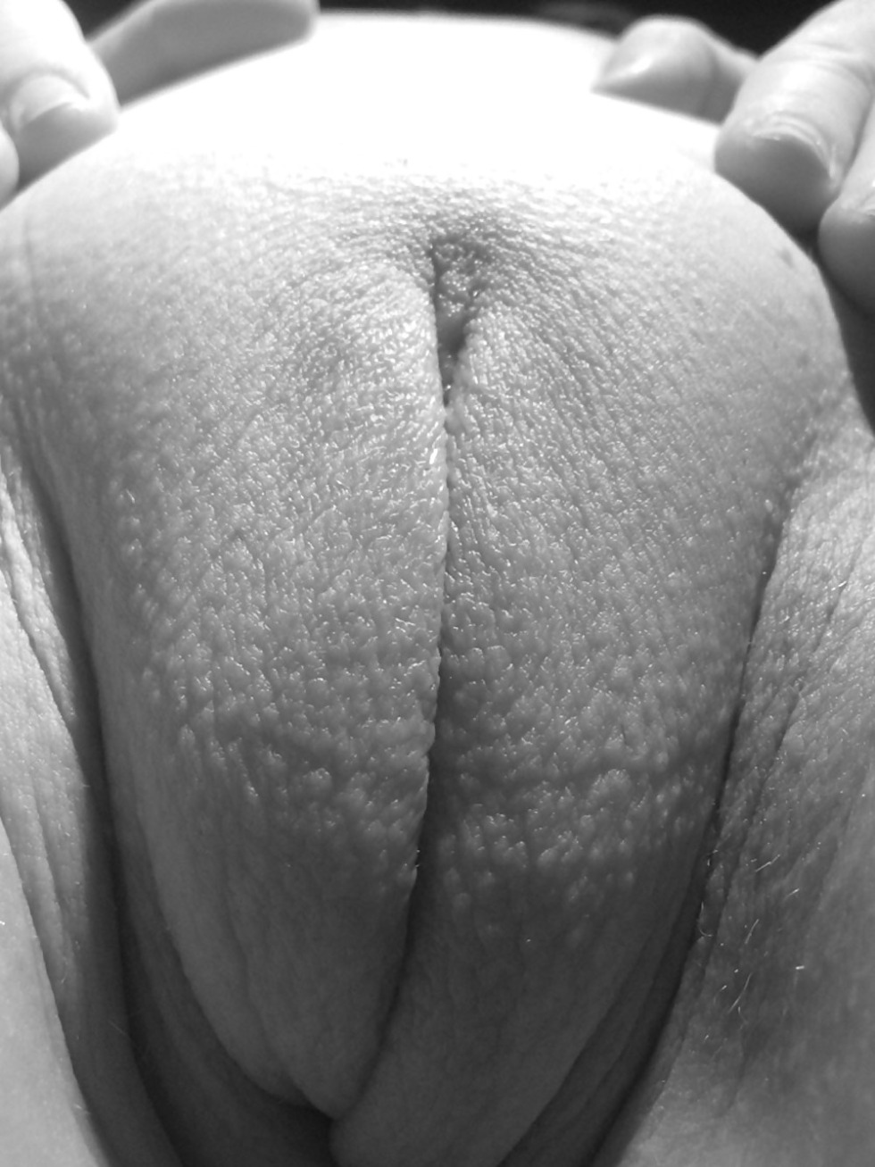 Feminine pubis close -up