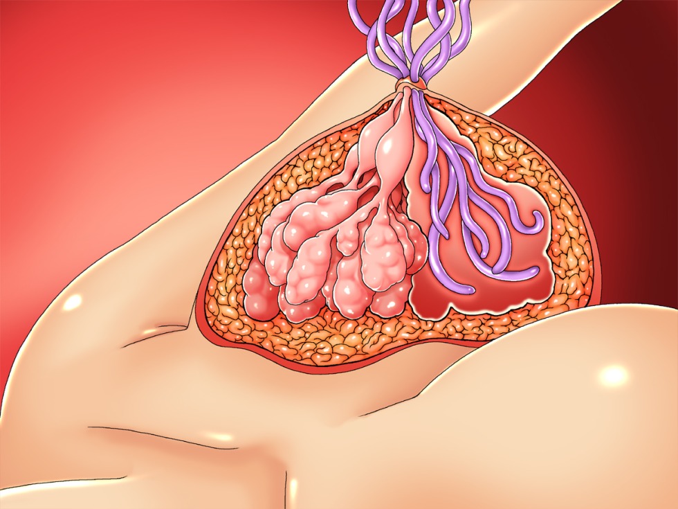 Anime hentai inside the chest