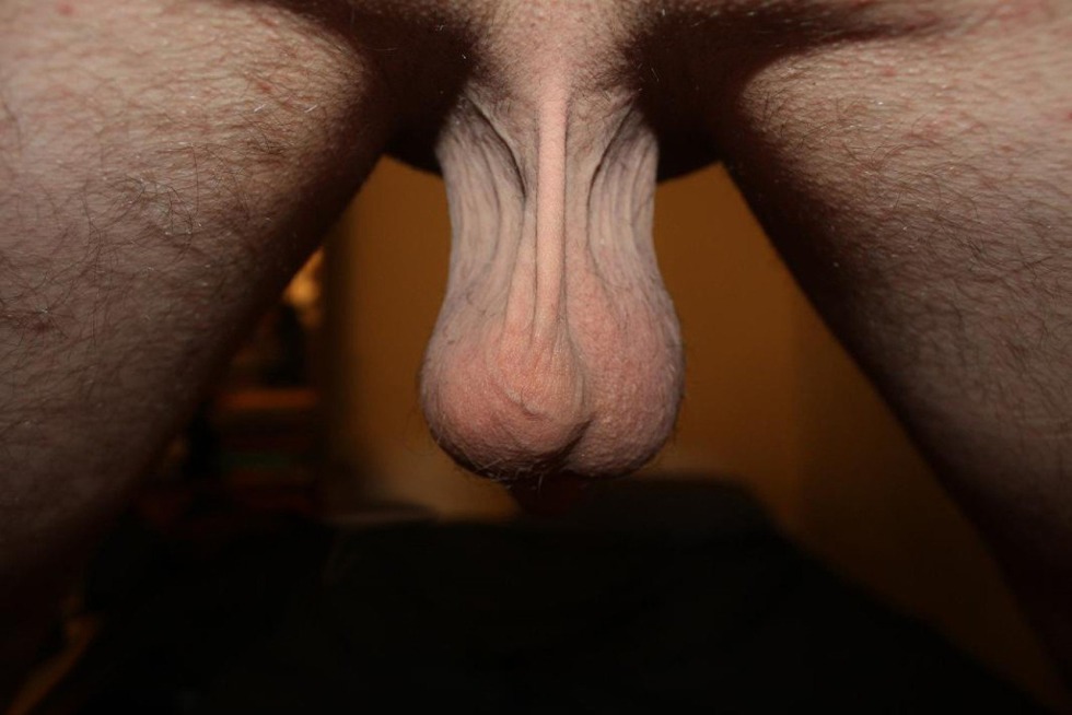 The most beautiful male eggs