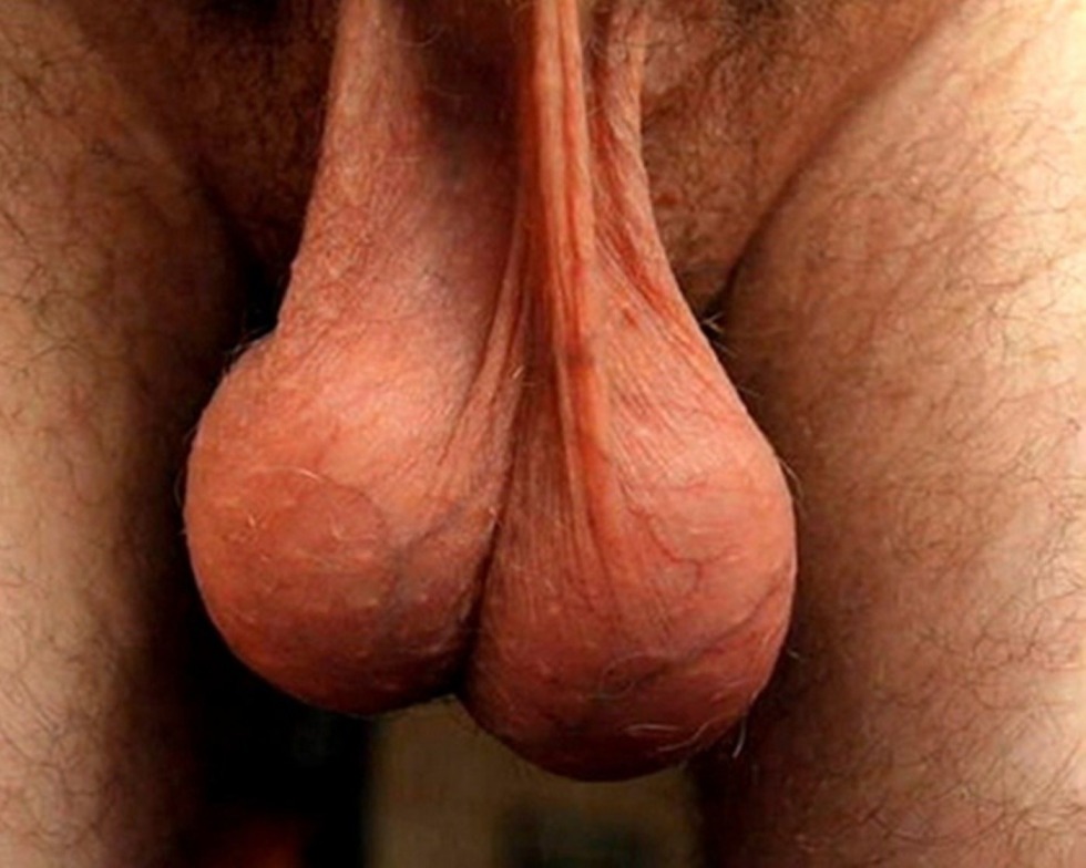 The biggest male eggs