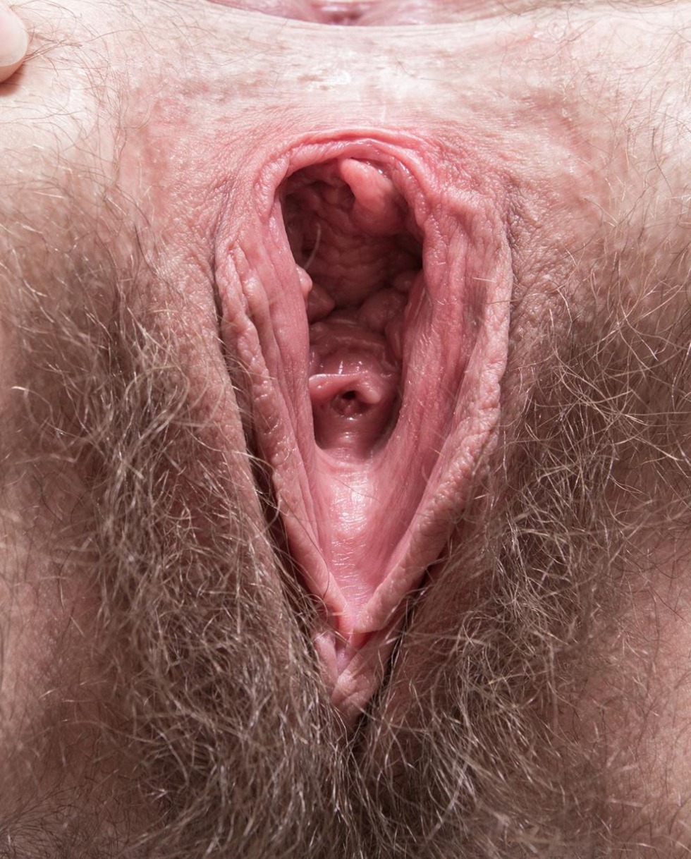 Large hairy vaginas