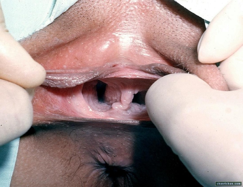 Hazel Jones Two Vaginal XXX