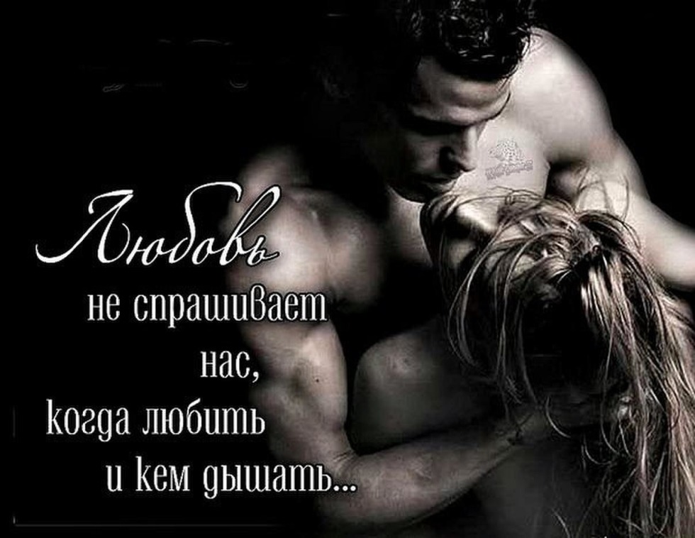 Beautiful phrases about passion