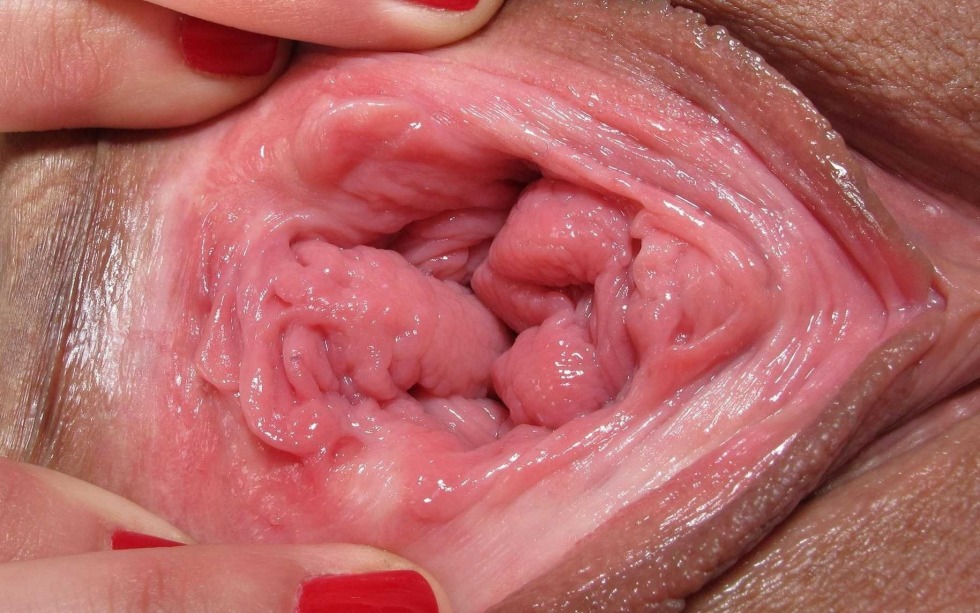 Women's vagina from the inside