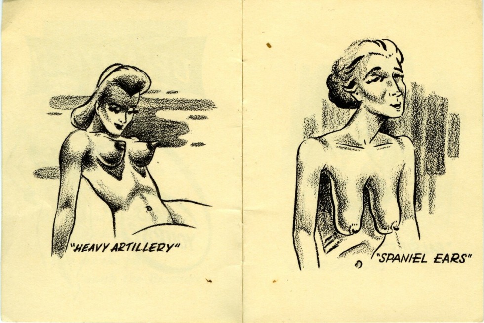 Spaniel ears in women breasts