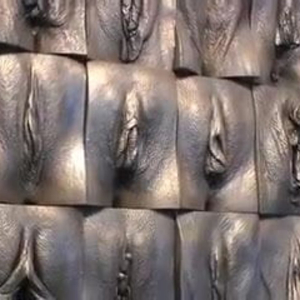 Vagin wall Jamie McCartney