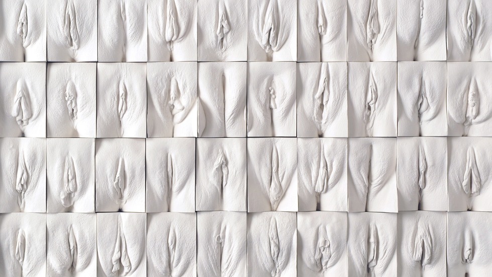 Vagin wall Jamie McCartney