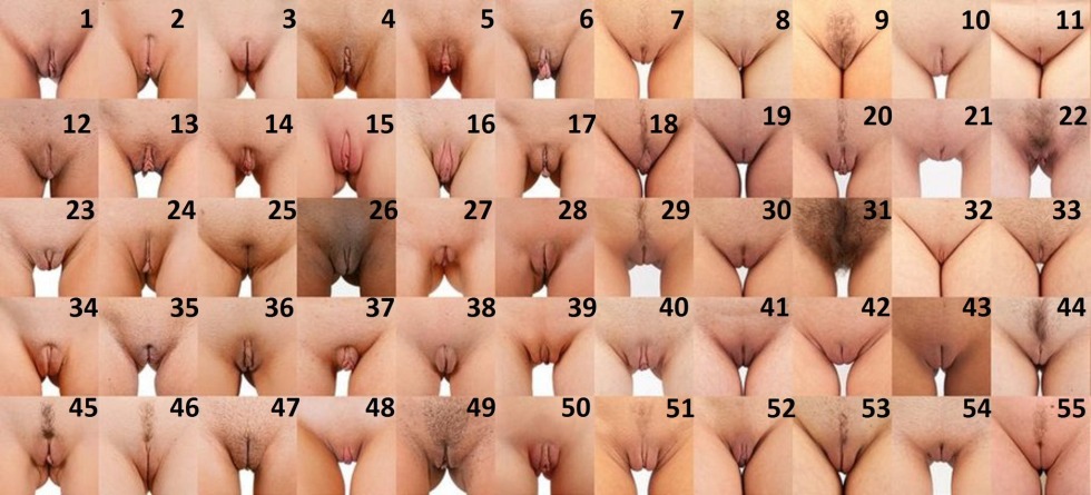 Different forms of female genitals