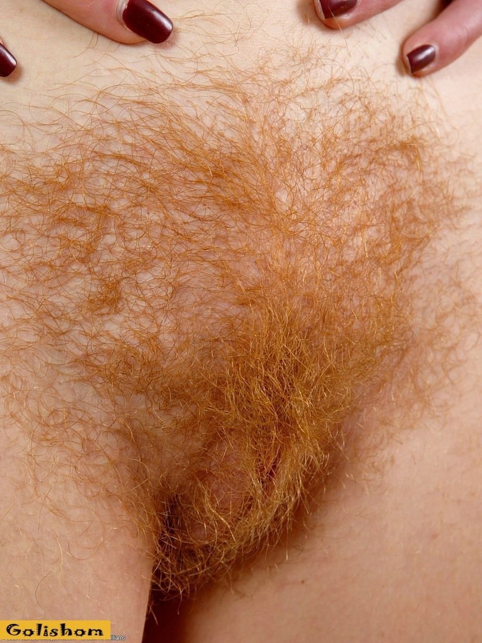 Red pubisy hair female