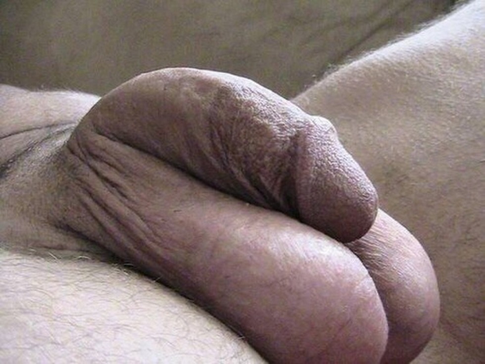 Huge cock close -up