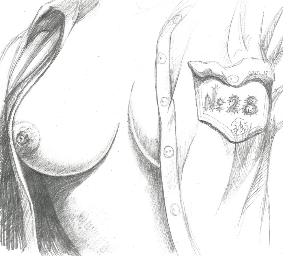 Naked chest drawing with a pencil