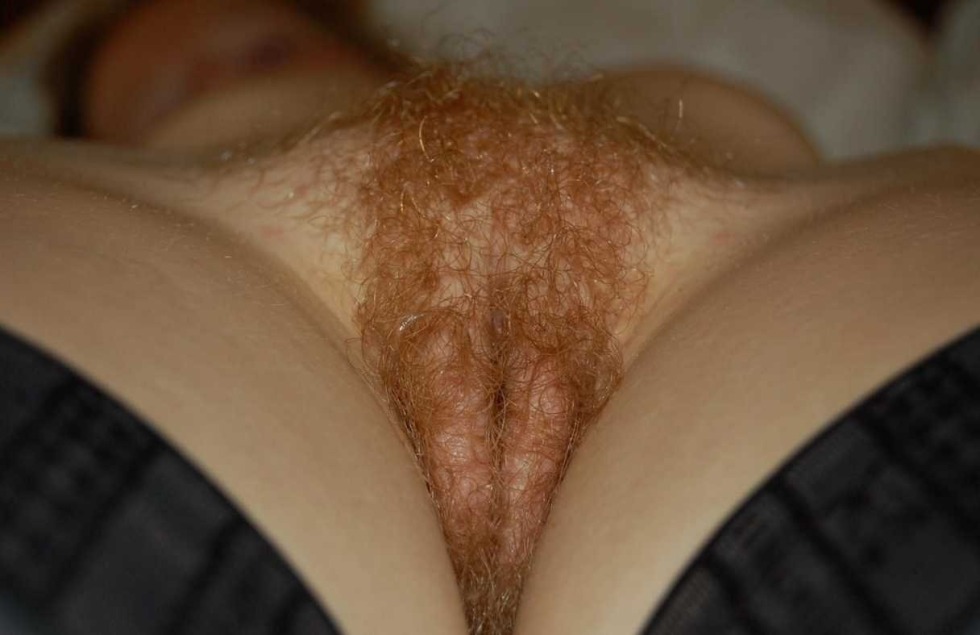 Curly red hair on the pubis