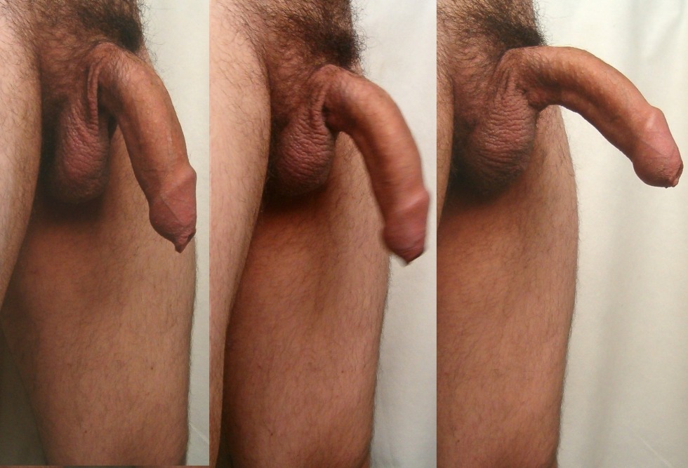 Big penis without an erection
