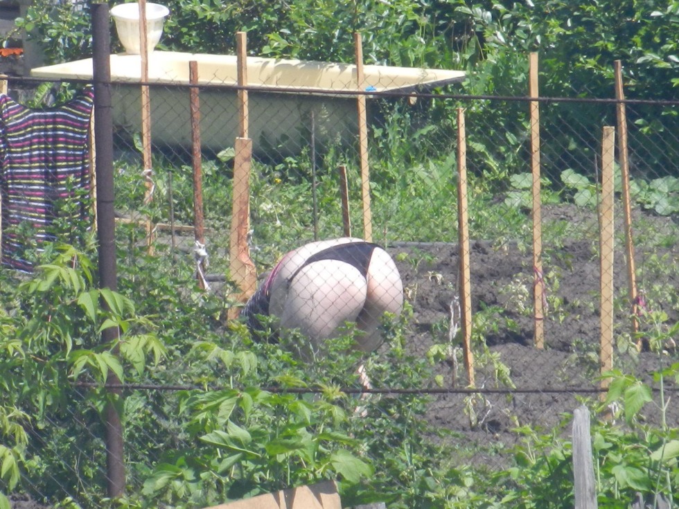 A crustacean in the garden