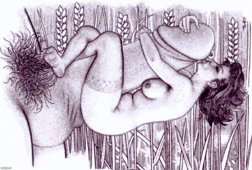 Pornographic drawings