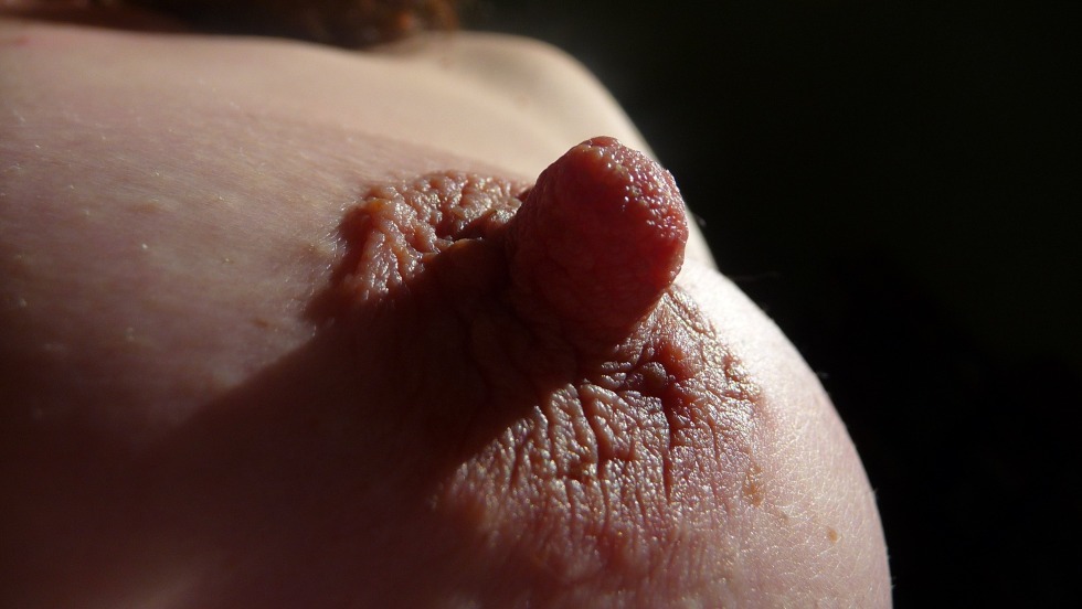 Huge female nipples