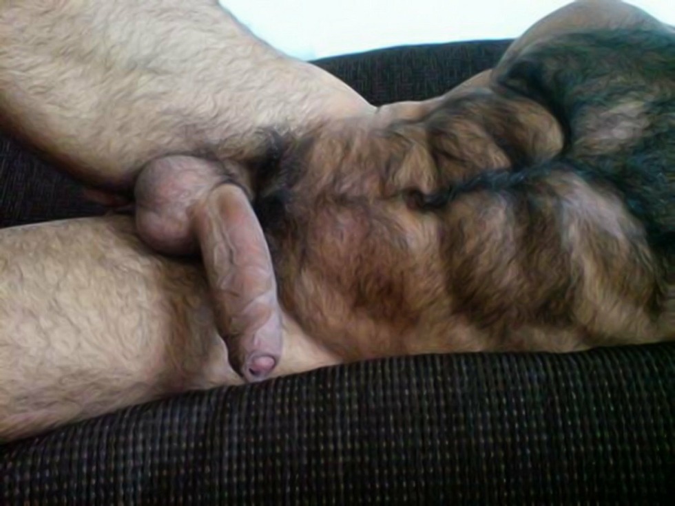 Huge hairy member of the Caucasian