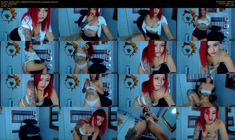 Anime Hentai Alice in the castorgal