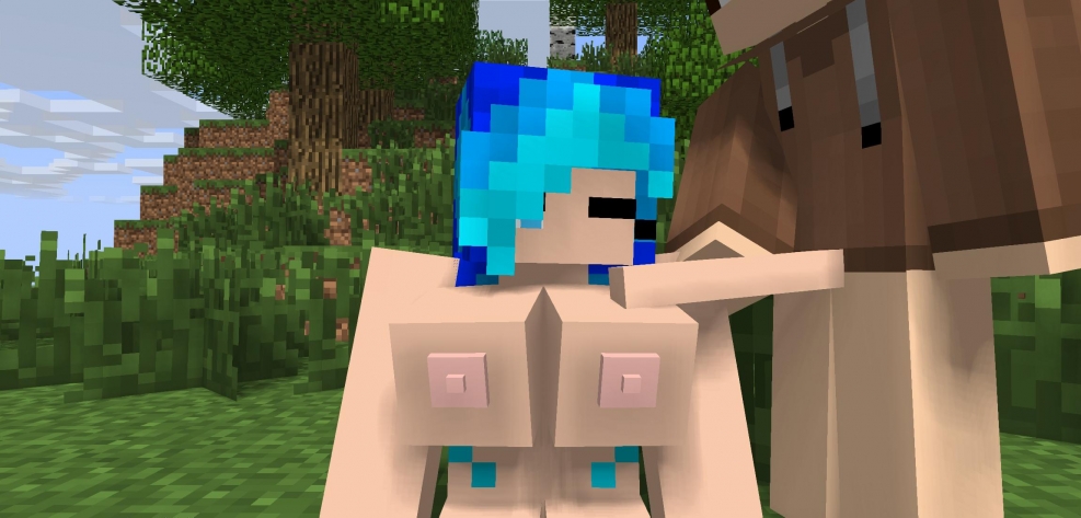 Sacks minecraft animation