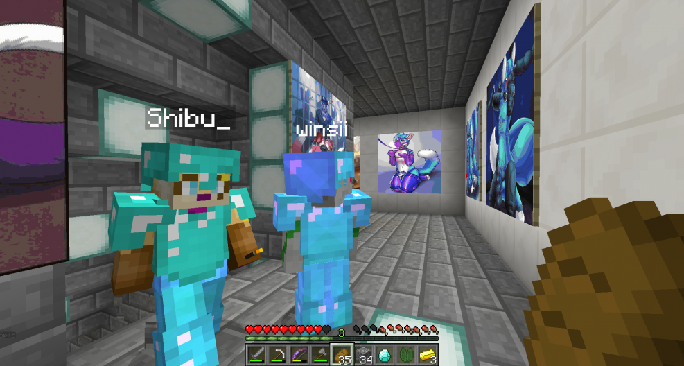 Furri Server Mincraft