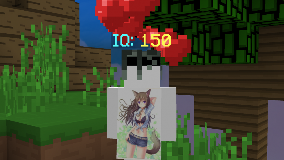 Statistics playing in minecraft