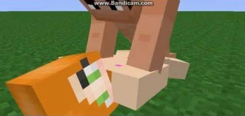 Minecraft Server 1.5.1 ID