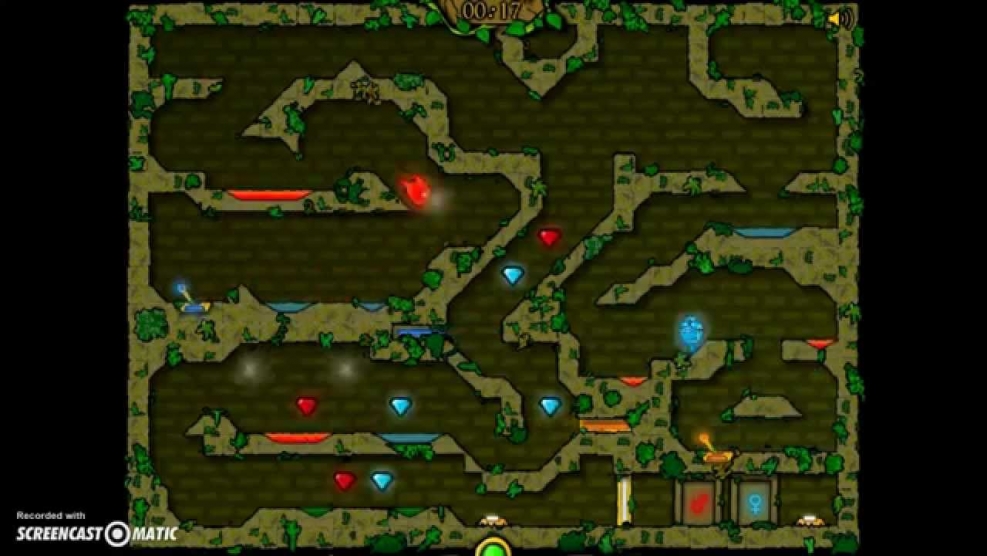 Fire and Water Forest Temple 3 Dark Levels