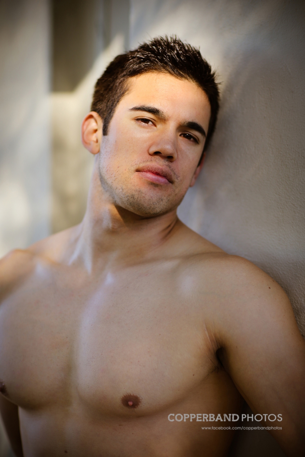 Yorkville Elite LS1208 subwoofer